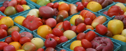 End of Tomato Season Draws Near: The Minimalist