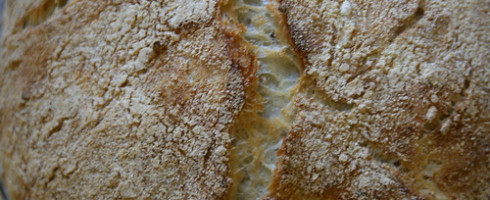 Game Changer: No Knead Bread