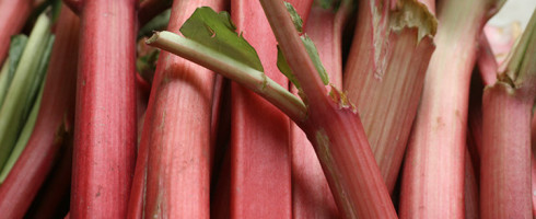 Cocktail Hour: Rhubarb Syrup