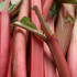 Cocktail Hour: Rhubarb Syrup