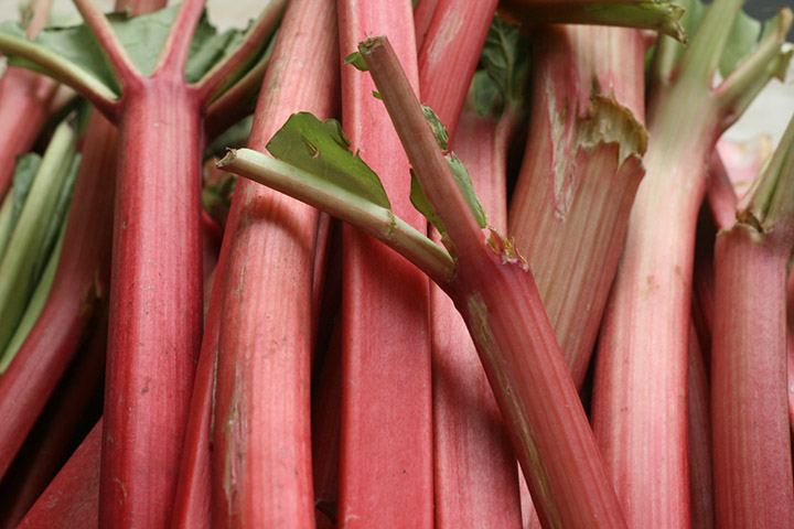 rhubarb.jpg